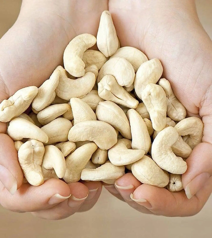 Tridara Premium Cashew W240 | Large Whole Cashew Kernels