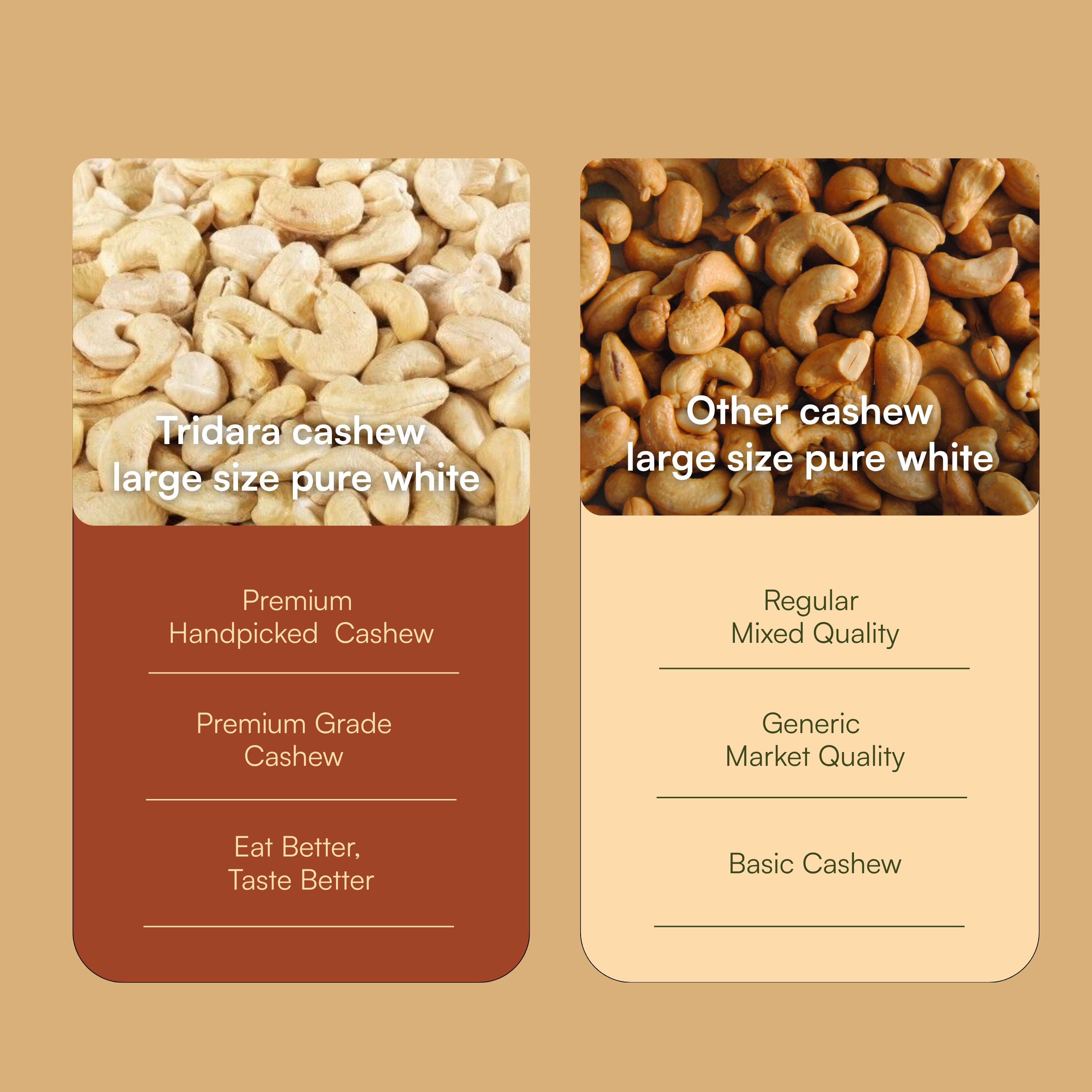 Tridara Premium Cashew W210 | Extra Large Whole Cashew Kernels