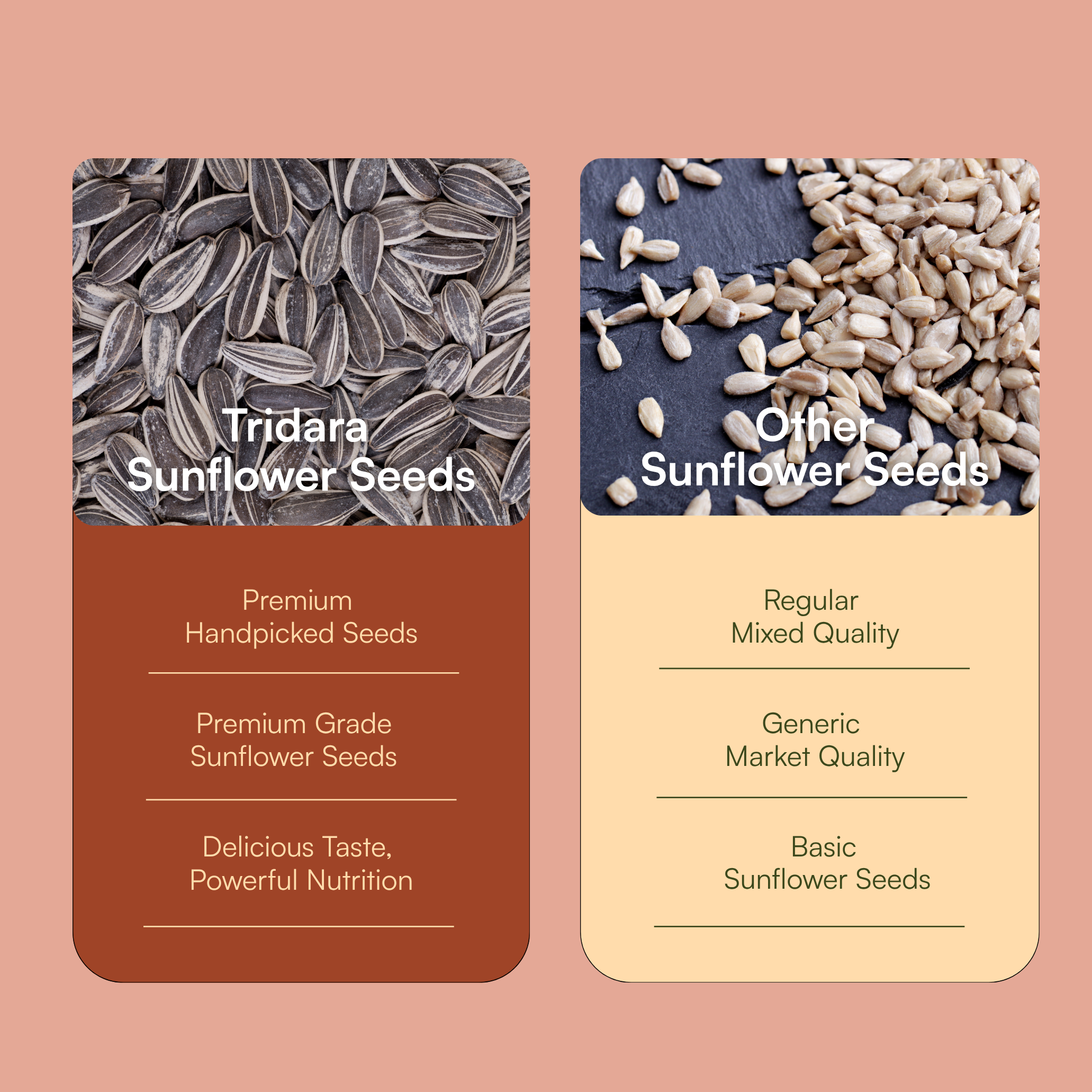 Tridara Premium Hulled Sunflower Seeds | Natural Sunflower Kernels