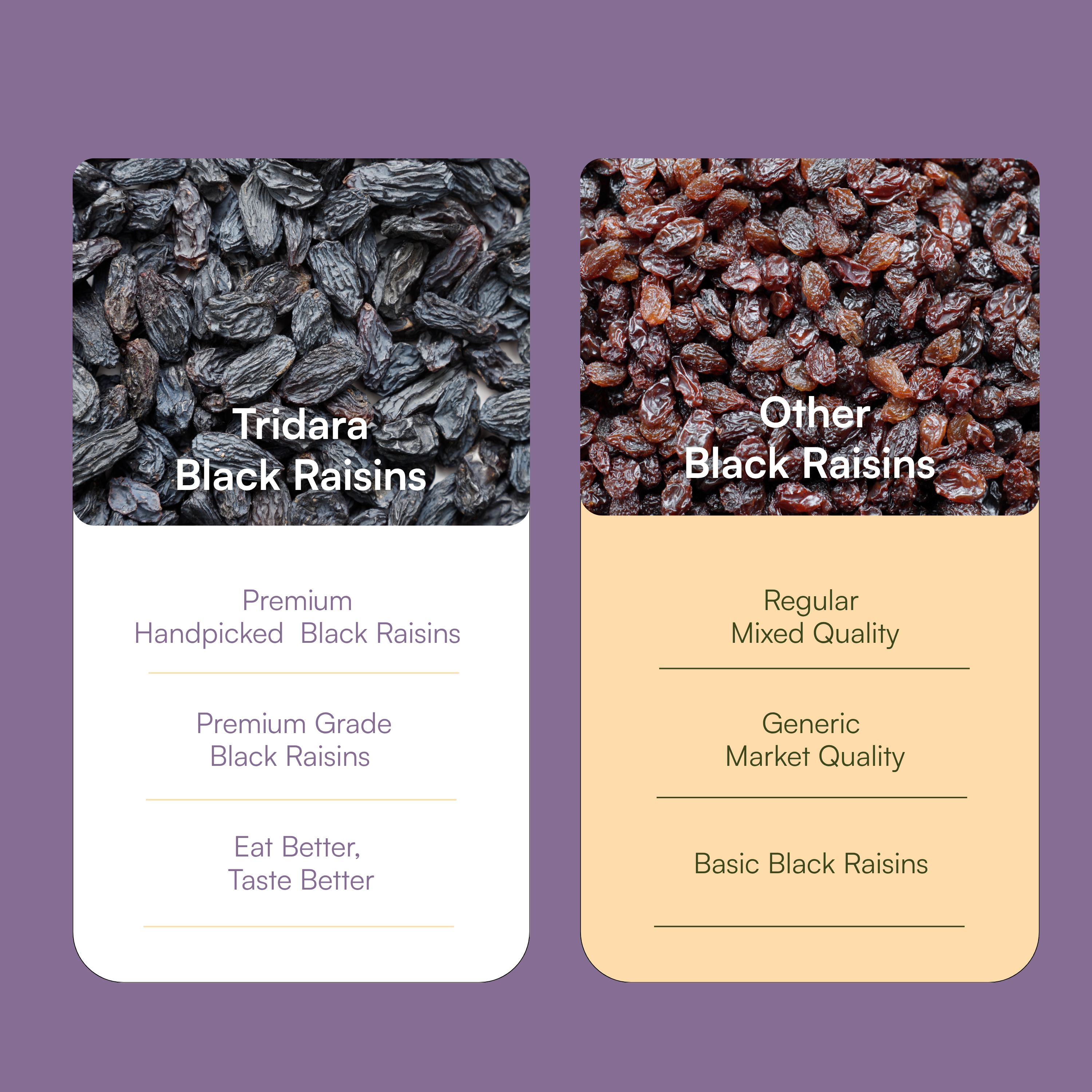 Tridara Premium Black Long Raisins | Naturally Sweet Black Kishmish