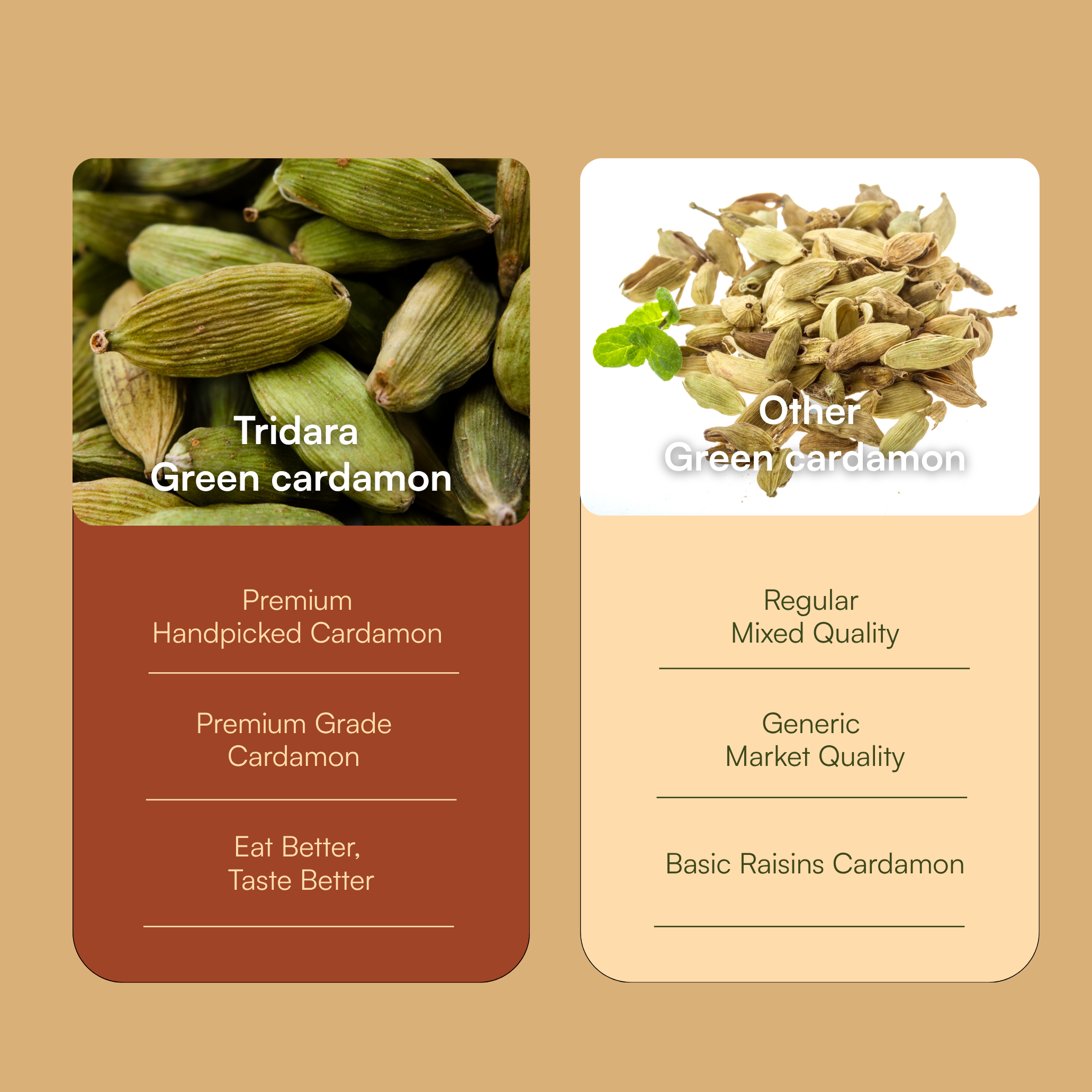 Tridara Premium Green Cardamom 7mm | Premium Hari Elaichi