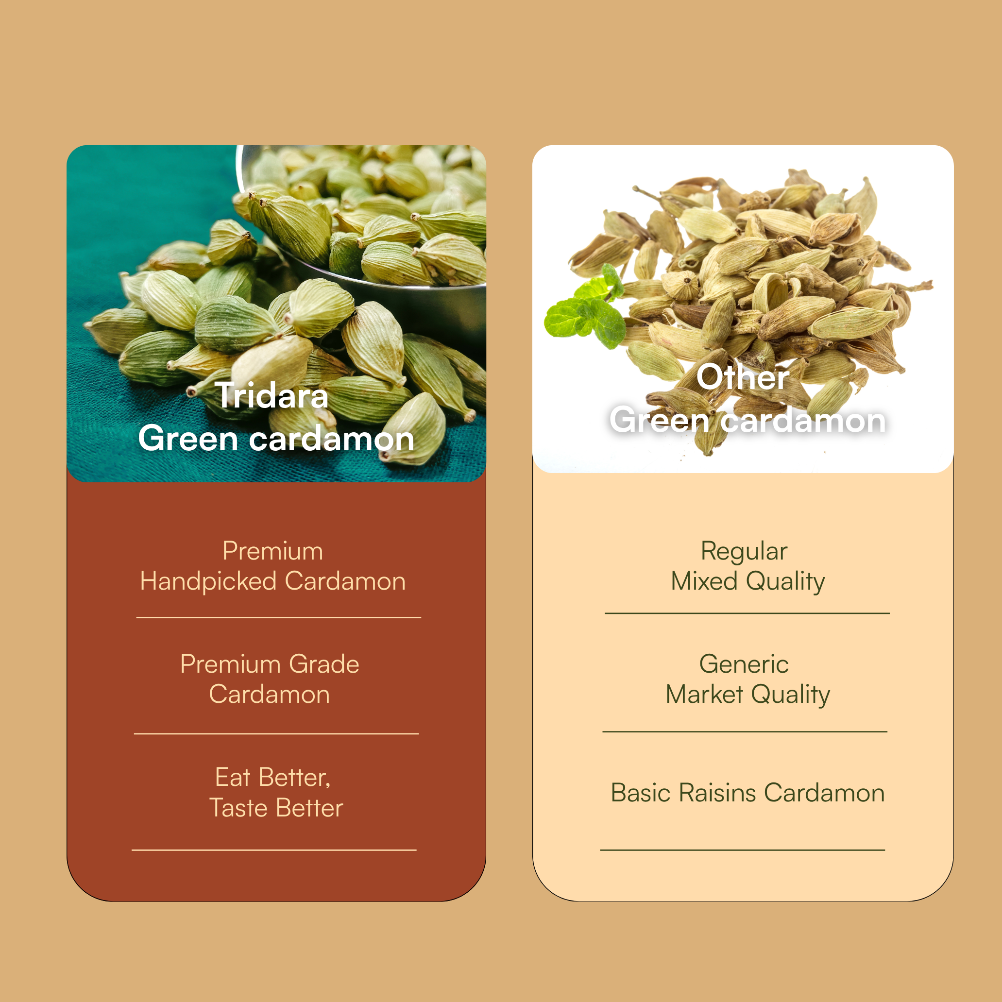 Tridara Premium Green Cardamom 8mm Bold | Bold Hari Elaichi