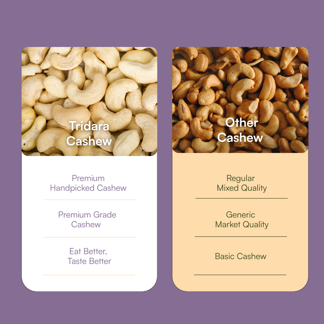 Tridara Premium Cashew W180 | King Jumbo Whole Cashew Kernels