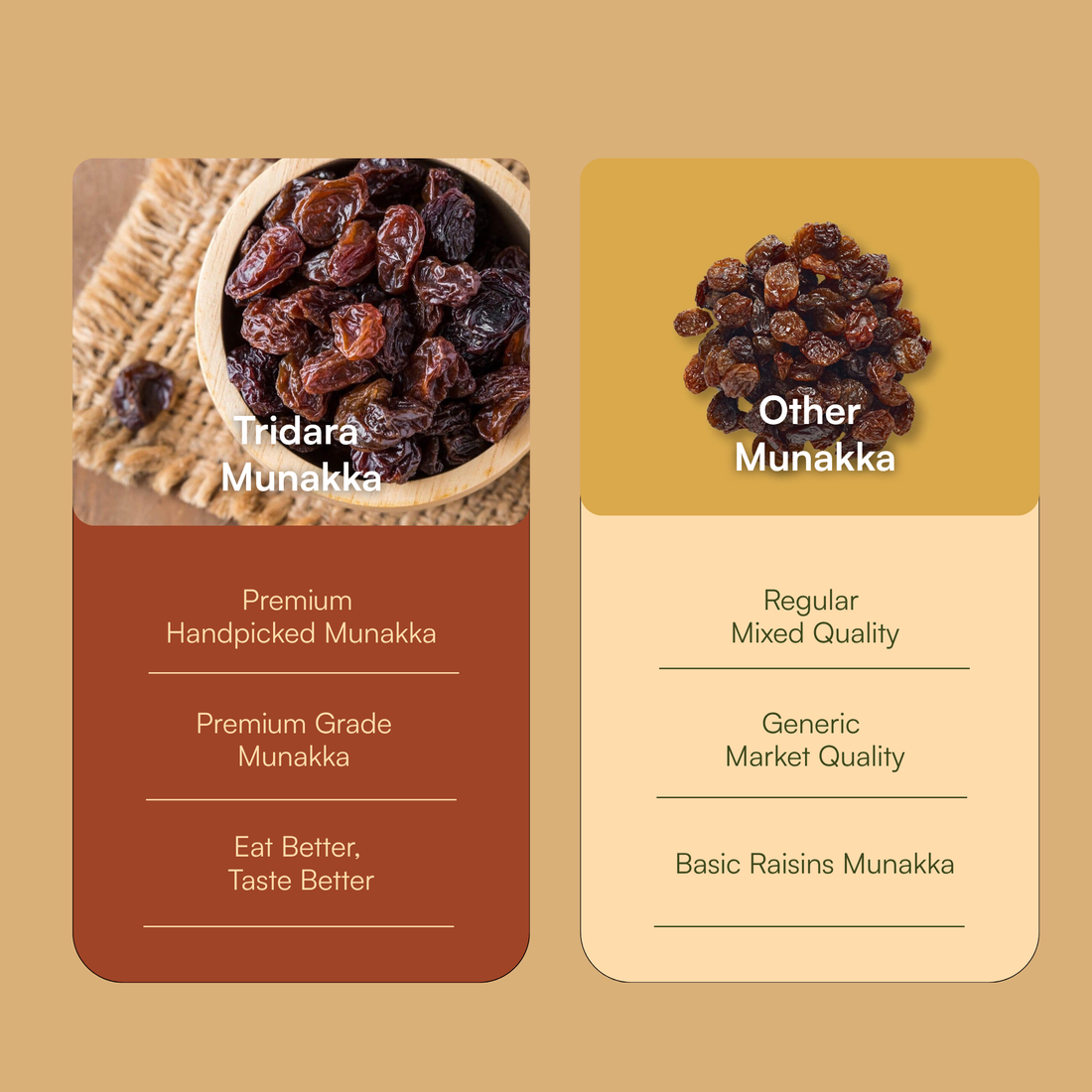Tridara Premium Munakka | Large Premium Black Raisins