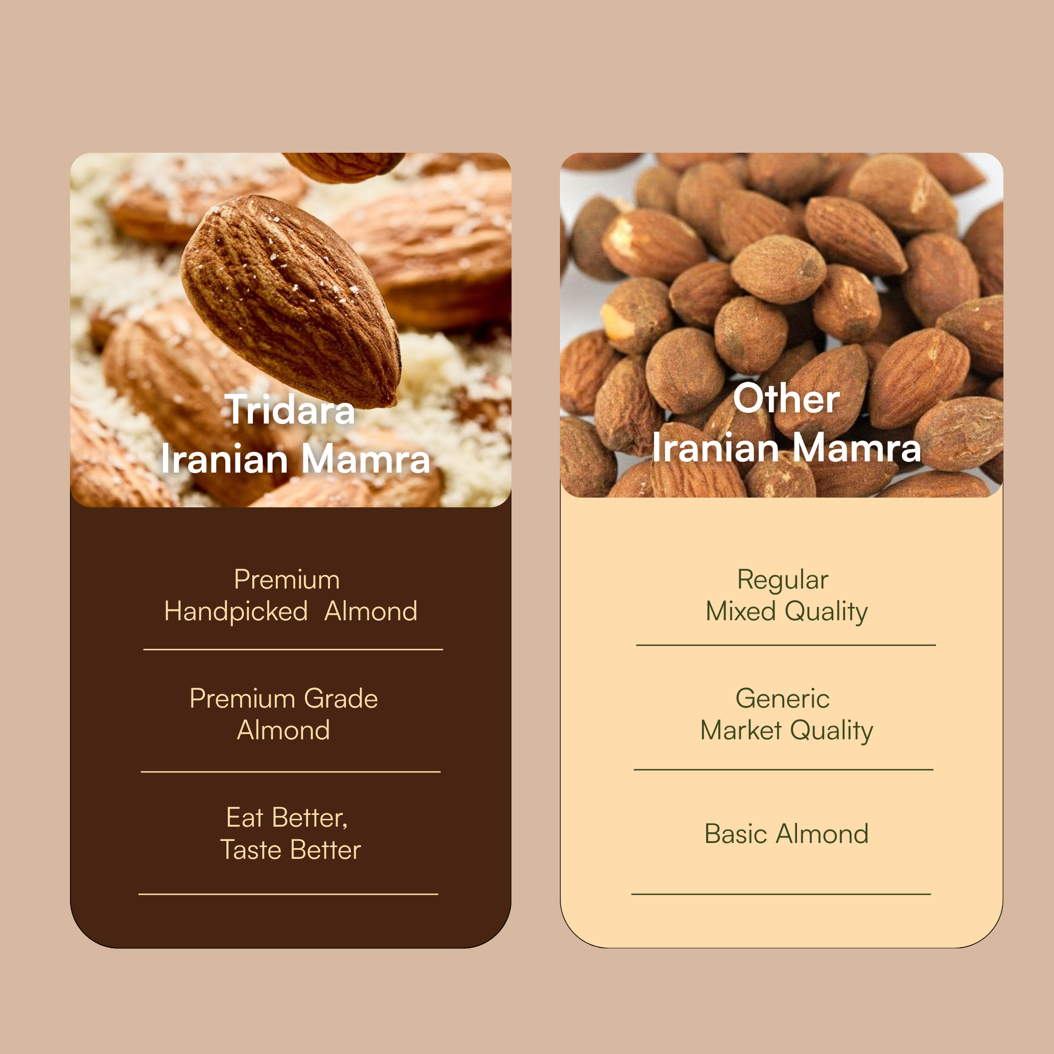 Tridara Premium Iranian Mamra Almonds | Authentic Iranian Mamra Badam
