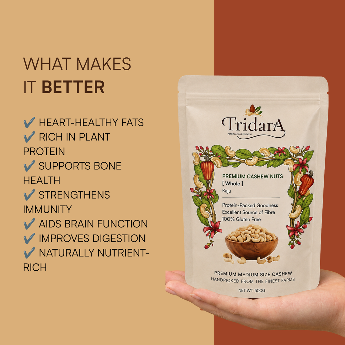 Tridara Premium Cashew W240 | Large Whole Cashew Kernels