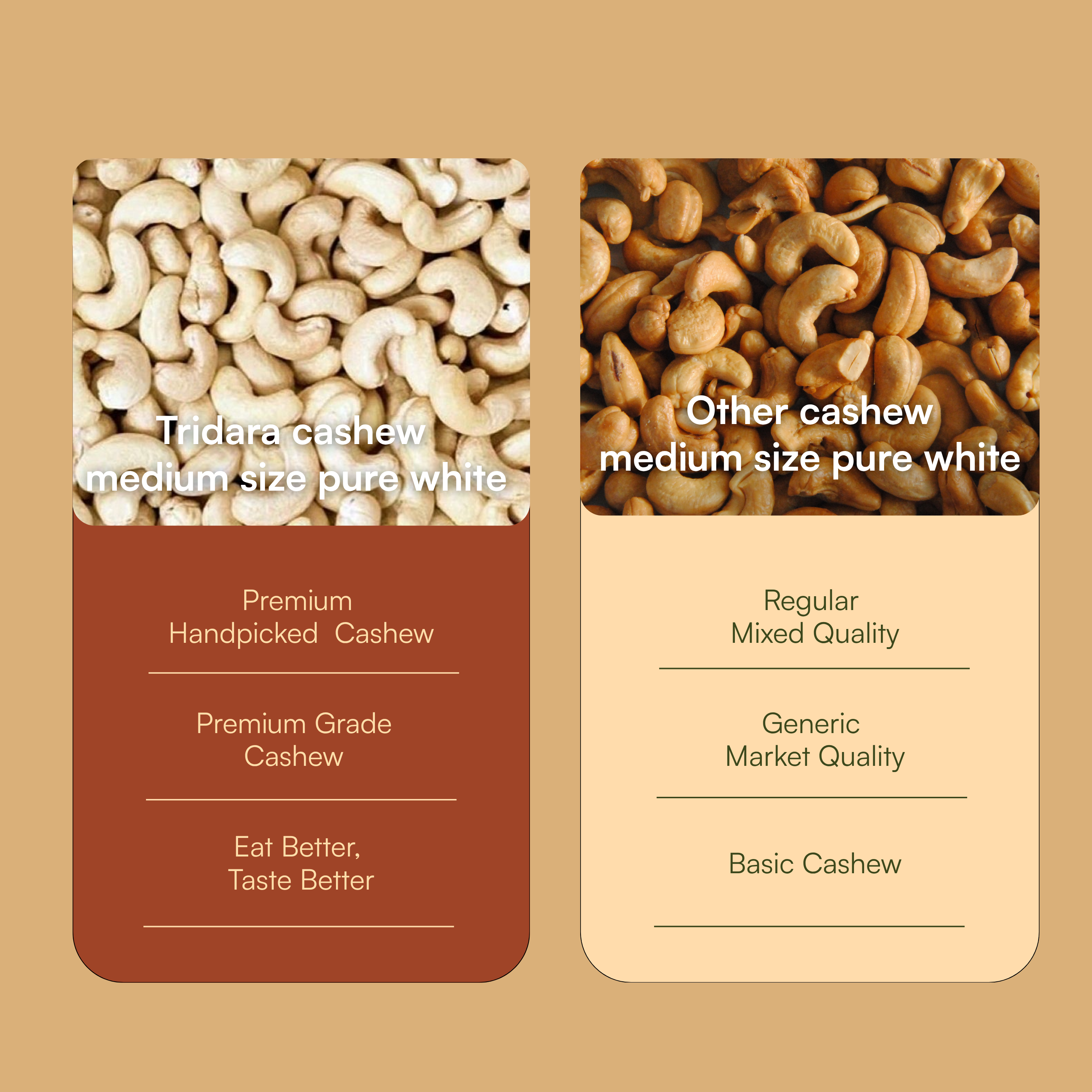 Tridara Premium Cashew W240 | Large Whole Cashew Kernels