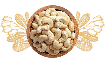 Cashews